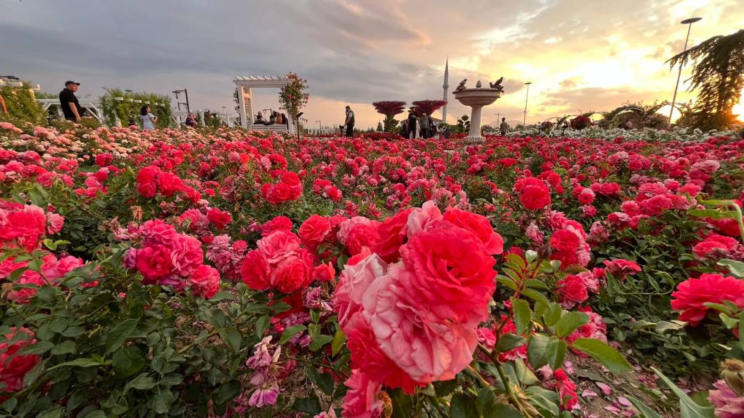 Konya’nın günbatımında masalsı manzara sunan parkı 11